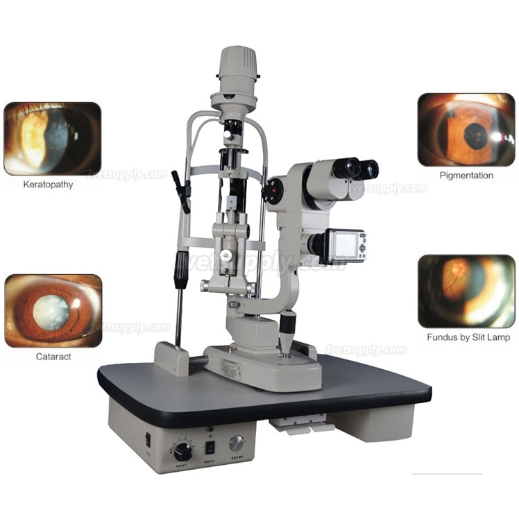 Veterinary Digital Slit Lamp Anterior Segment Analysis System